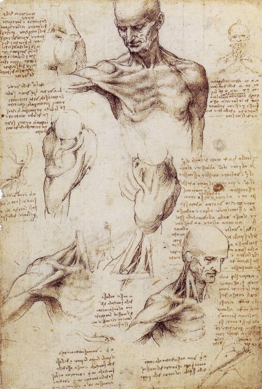 Leonardo Da Vinci Rarely Seen Sketches Lazer Horse Leonardo Da Vinci Rarely Seen Sketches Lazer Horse