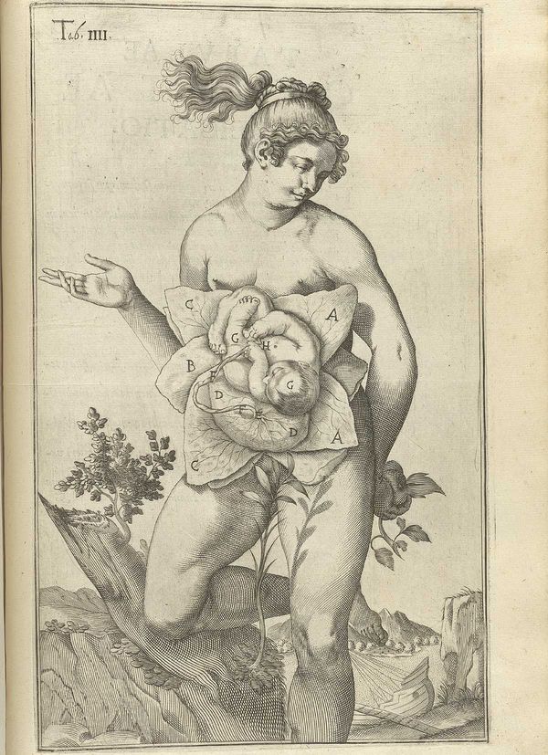 old-anatomy-drawings-gutsy-woman
