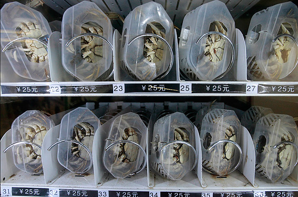 weird-china-crab-vending-machine