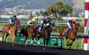 Lake View Lad to head straight to Aintree