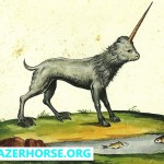 Unicorns - Old Pictures - Ulisse Aldrovandi - 1658