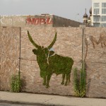 Moss Graffiti - Big Horn Cattle - The New School