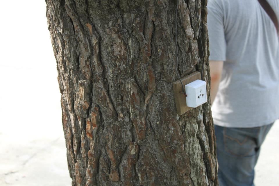 Internal Tree Plug Inside North Korea - Tree Plug - Lazer Horse