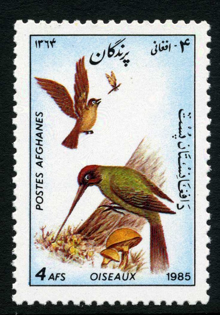 Strange Stamps - Fungus - Afghanistan and woodpecker