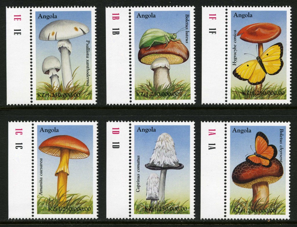 Strange Stamps - Fungus - Angola