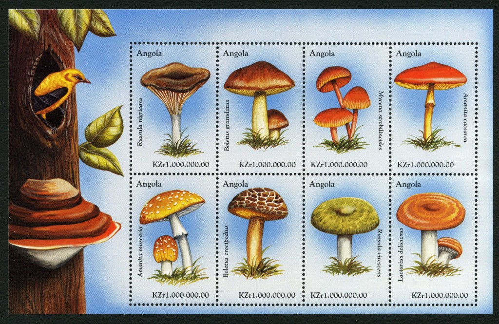 Strange Stamps - Fungus - Angola oriole