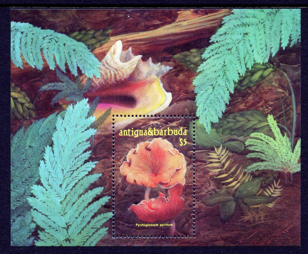 Strange Stamps - Fungus - Antigua