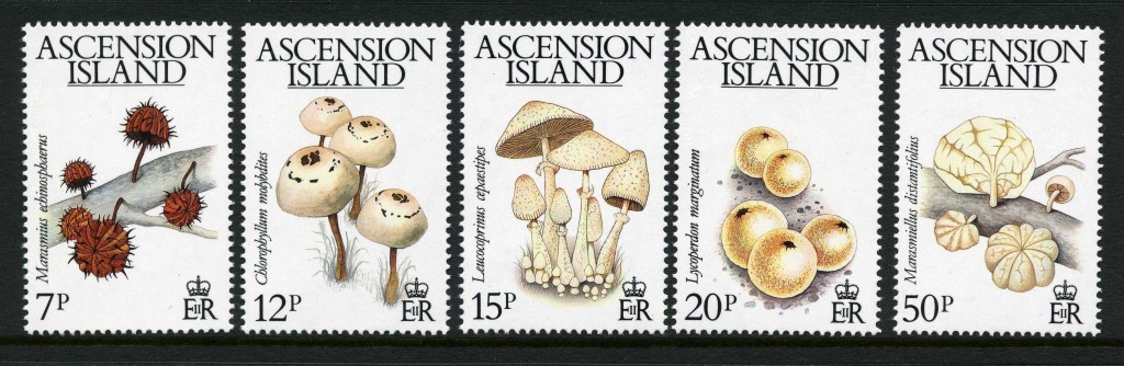 Strange Stamps - Fungus - Ascension Island