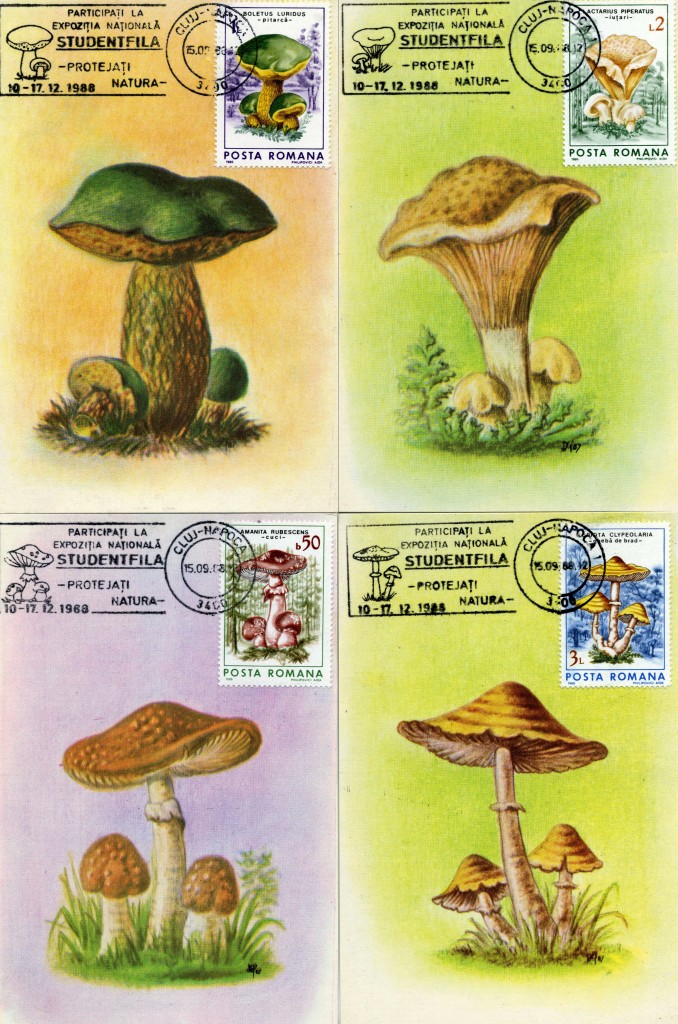 Strange Stamps - Fungus - Romania + envelope