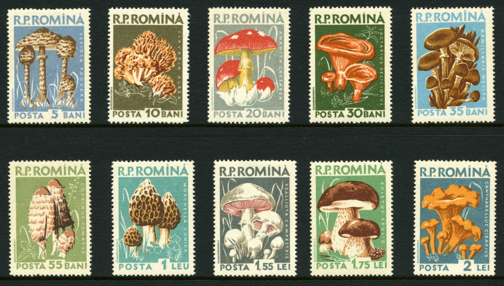 Strange Stamps - Fungus - Romania