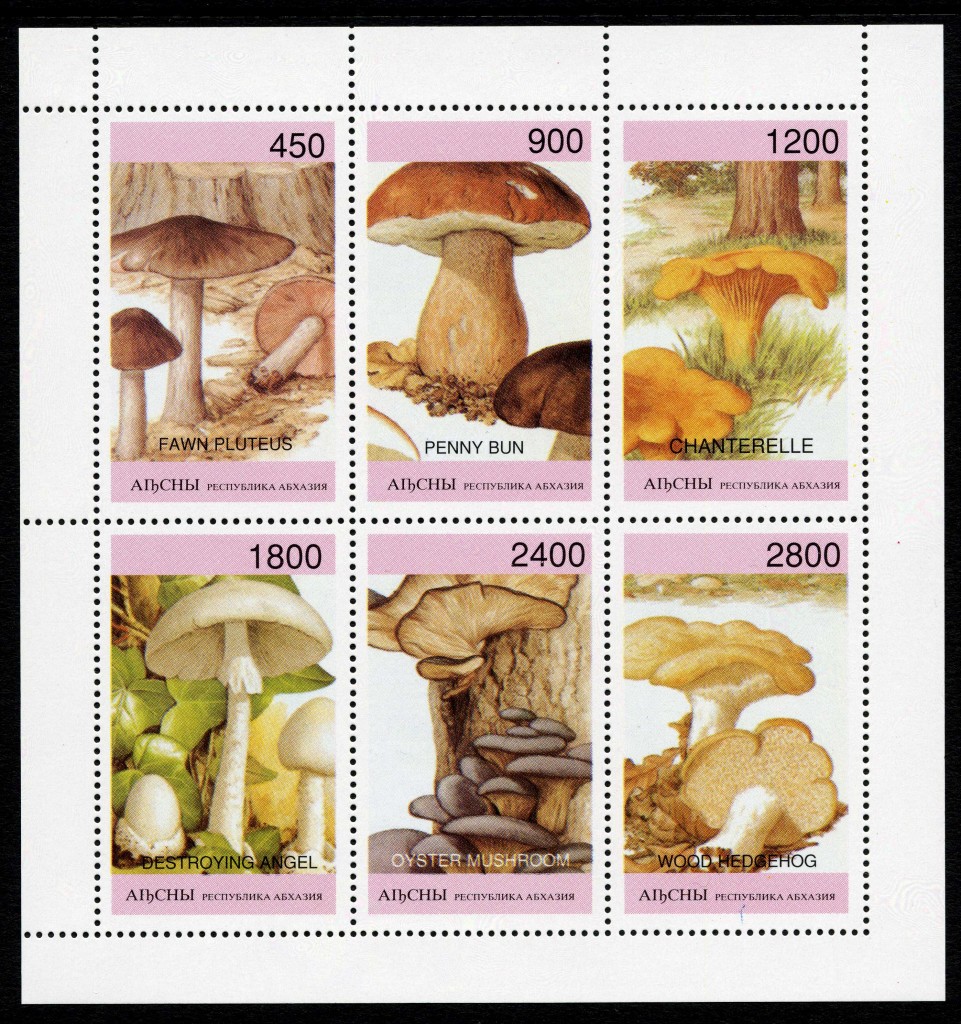 Strange Stamps - Fungus - Russian Federation - Abkhazia