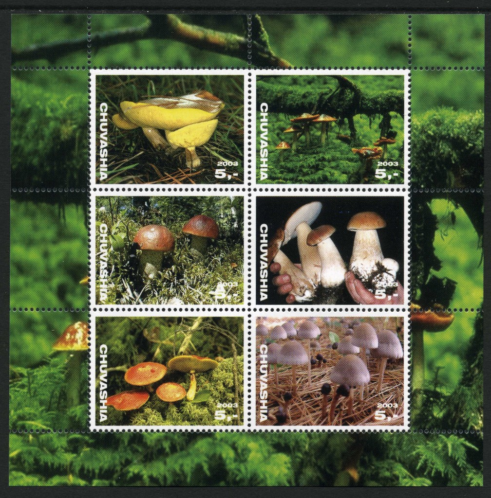 Strange Stamps - Fungus - Russian Federation - Chuvashia