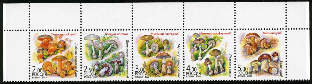 Strange Stamps - Fungus - Russian Federation - Soviet Union
