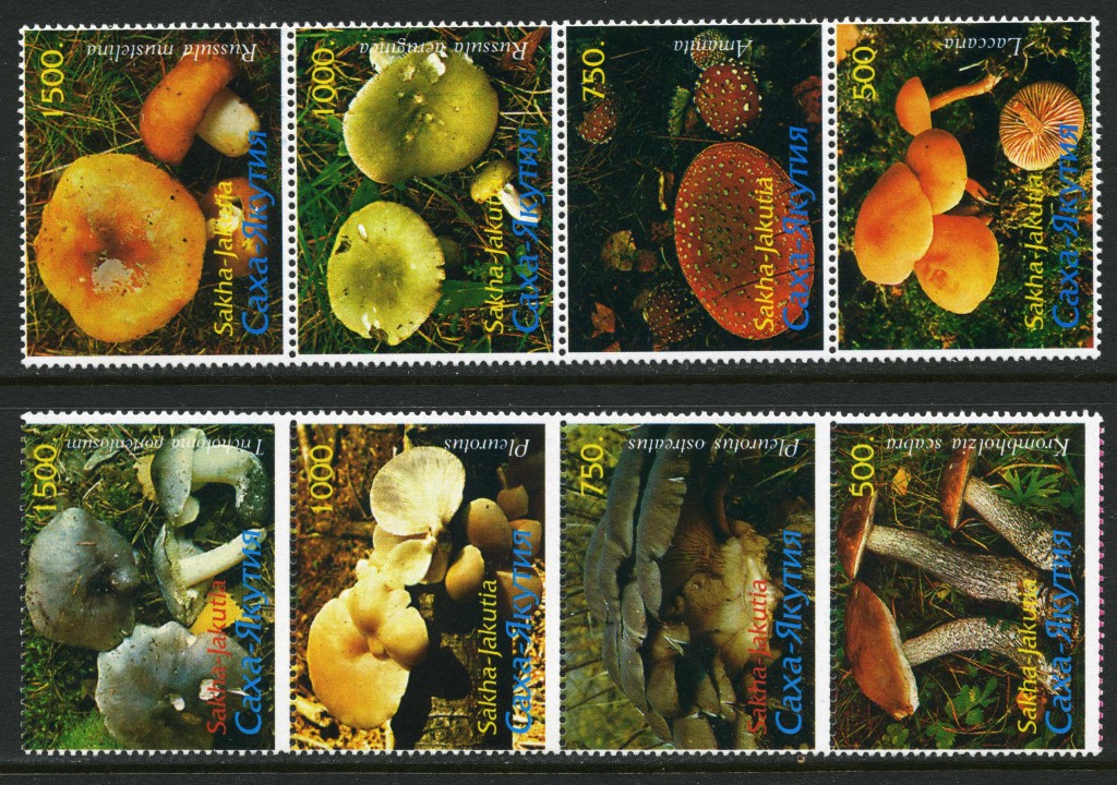 Strange Stamps - Fungus - Russian Federation - Yakutia