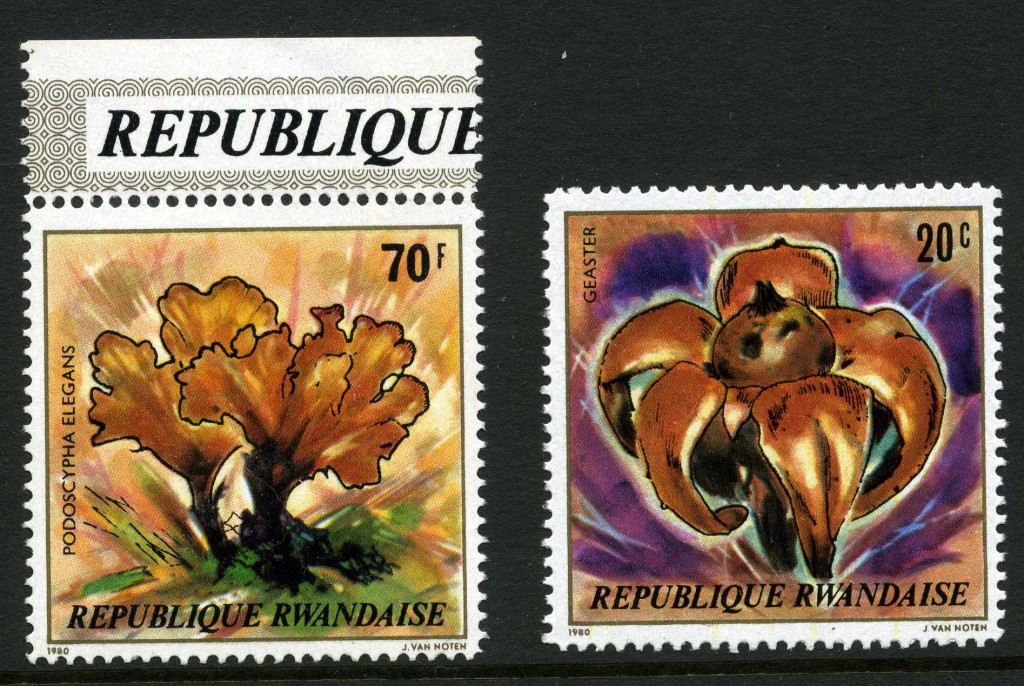 Strange Stamps - Fungus - Rwanda