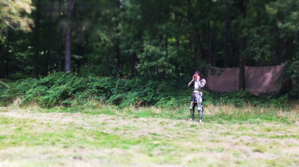 Herstmonceux Medieval Festival - soldier