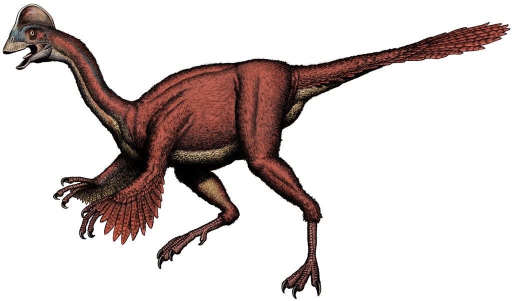 Feathered dinosaur - Anzu wyliei