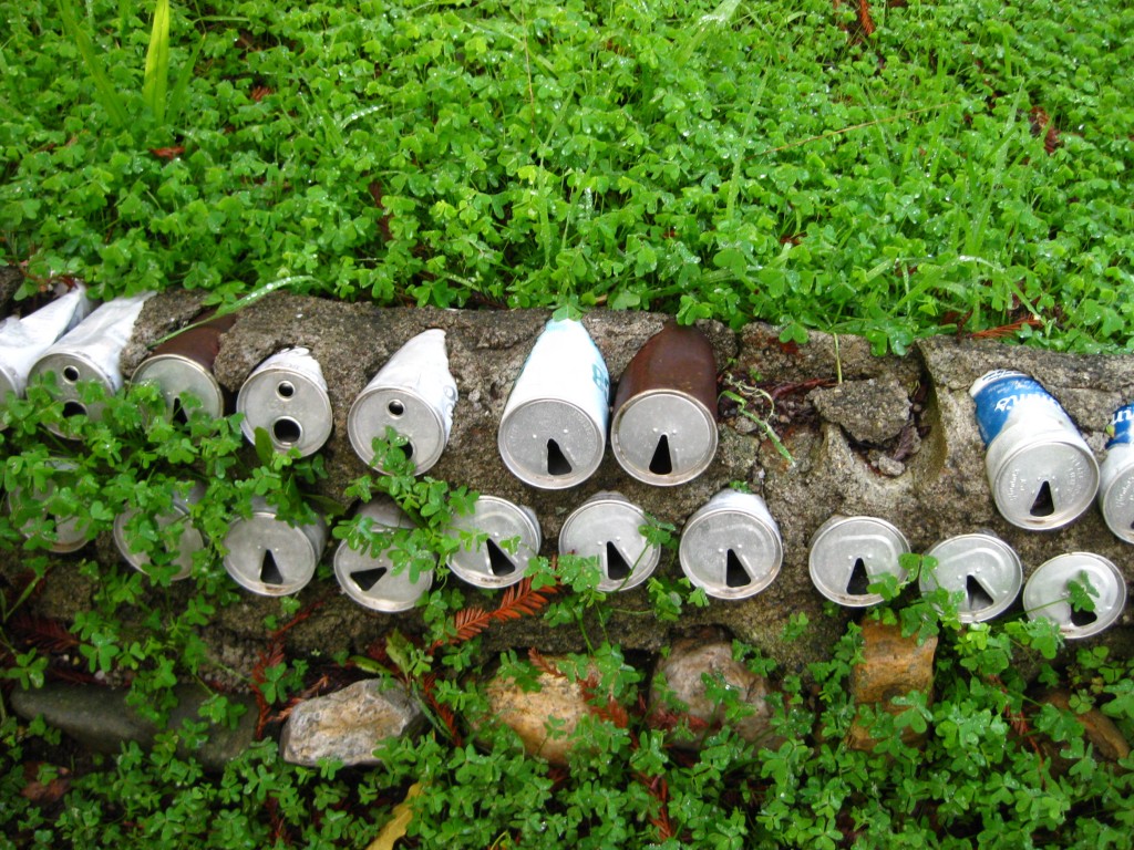 Nitt Witt Ridge - beer can wall