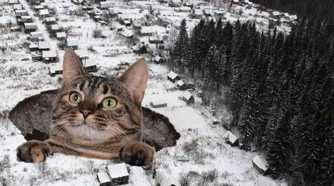 Awesome Photos From Russia With Love - Cat in Sink Hole