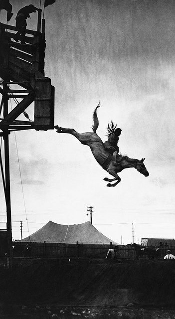 Diving Horse 8
