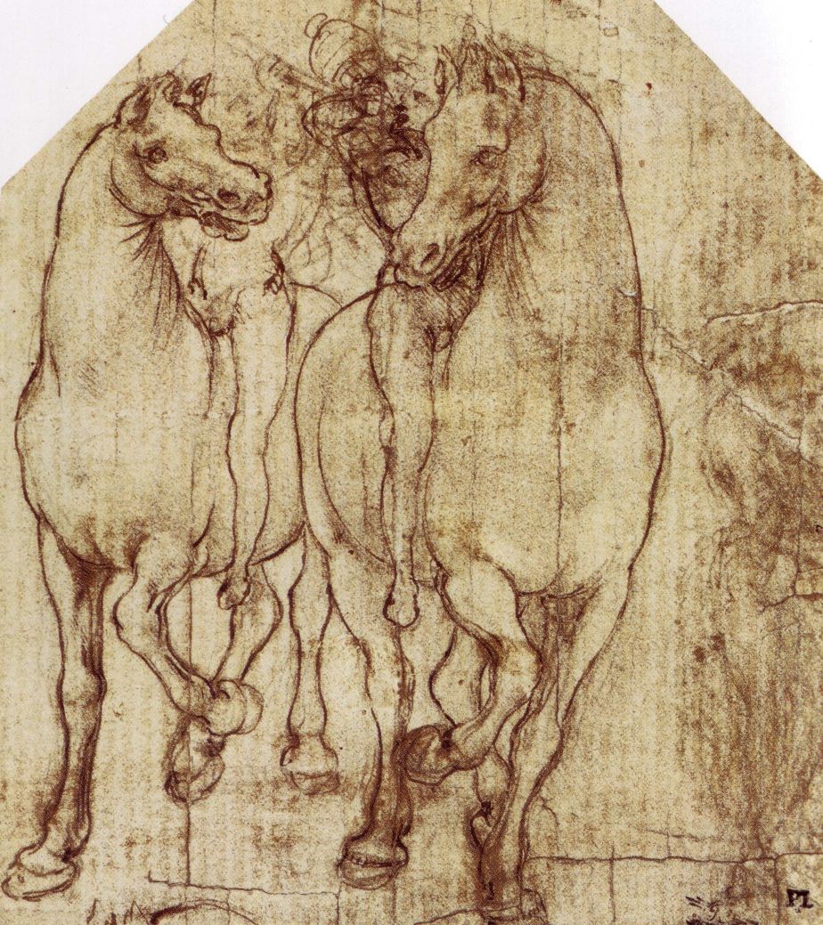 Leonardo Da Vinci Rarely Seen Sketches Lazer Horse Leonardo Da Vinci Rarely Seen Sketches Lazer Horse