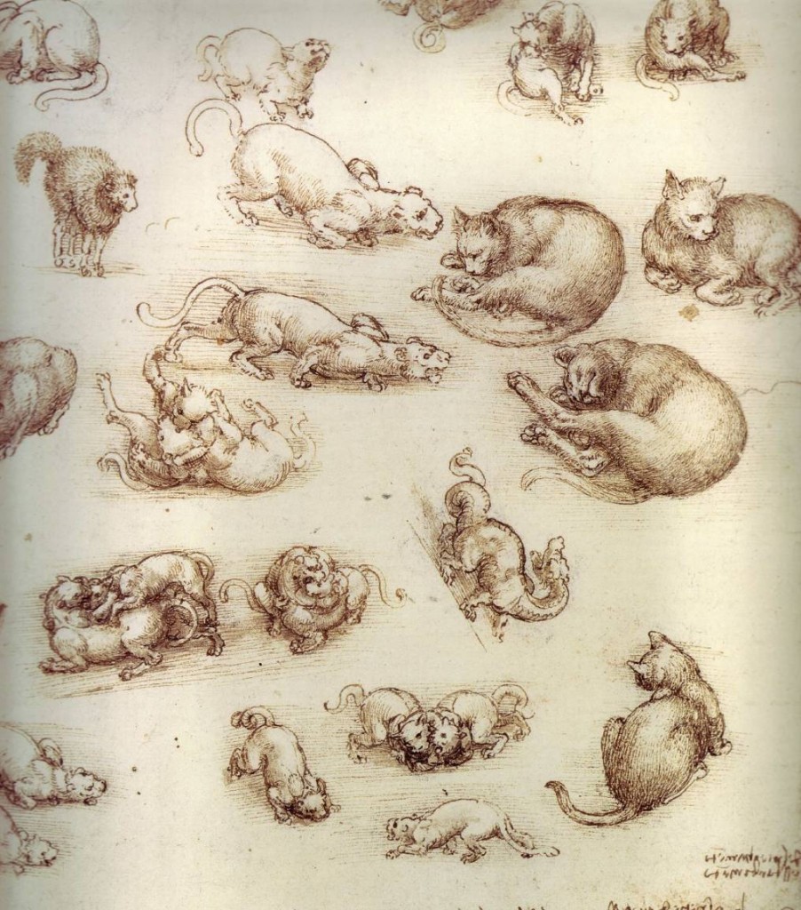 Leonardo Da Vinci Rarely Seen Sketches Lazer Horse Leonardo Da Vinci Rarely Seen Sketches Lazer Horse
