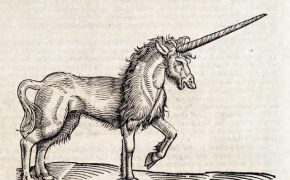 Children’s Story: Two Slugs and a Unicorn