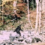 Frame 352 from the Patterson Gimlin Bigfoot film
